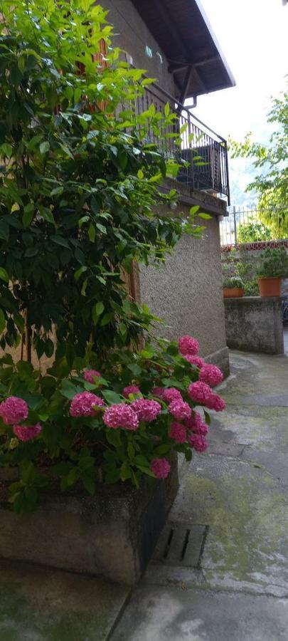 La Casetta Di Vassena Oliveto Lario Exteriér fotografie